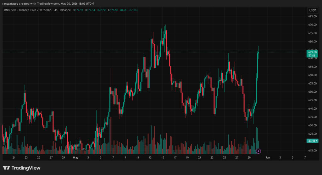 chart BNB coin